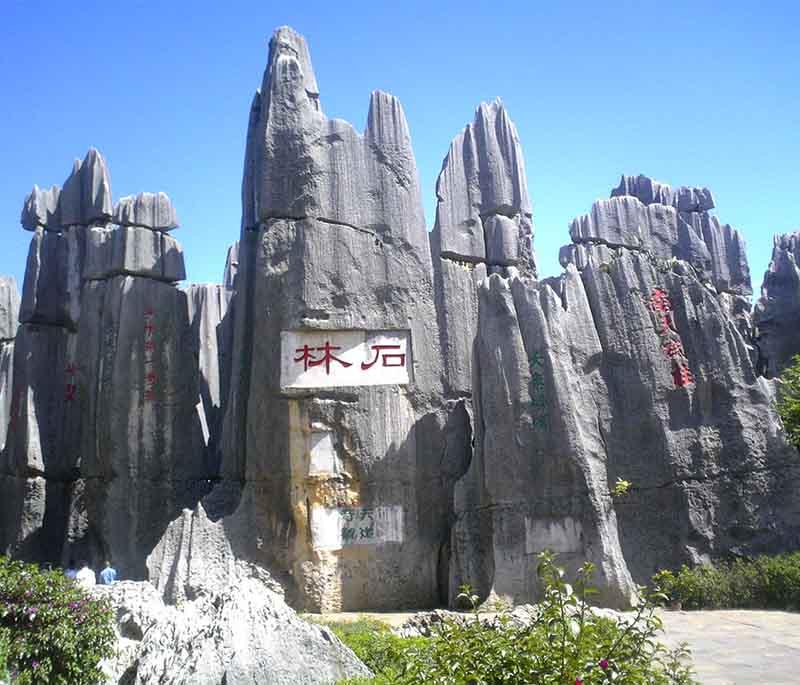 Shilin Stone Forest in Yunnan is known for its tall limestone formations that resemble petrified trees.
