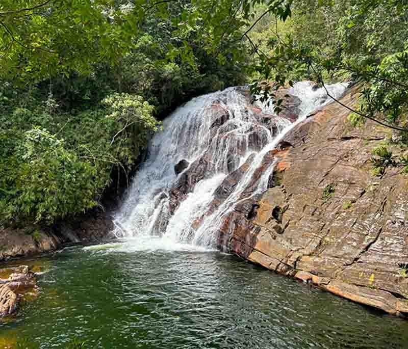 Sinharaja Rainforest - A UNESCO World Heritage site and biodiversity hotspot, known for its rich flora and fauna.