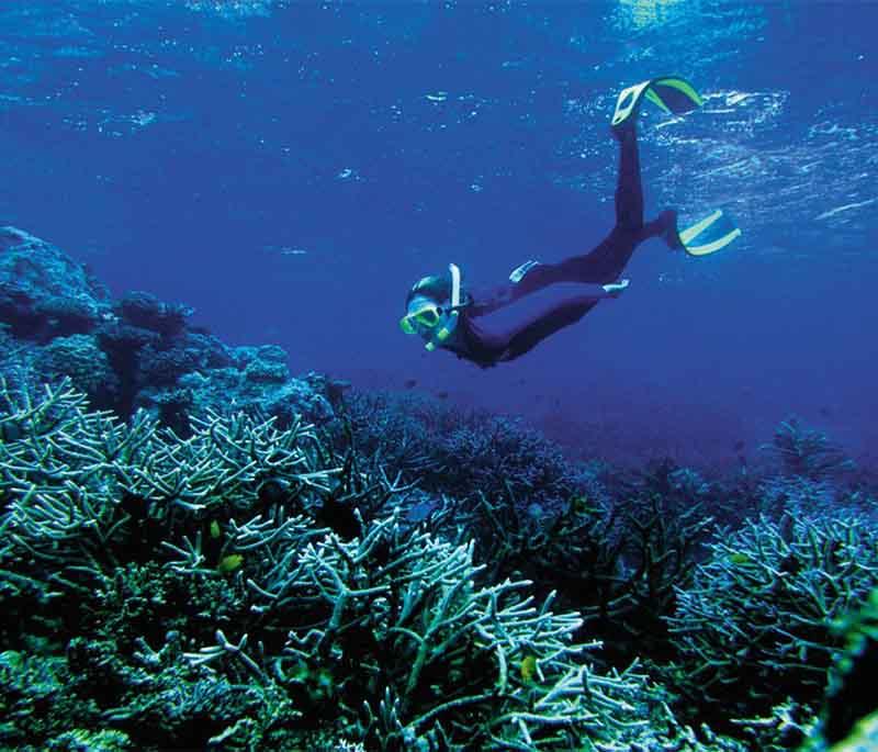 Siyadi Pearl Diving, presenting the historical site and museum dedicated to Bahrain's pearl diving heritage.