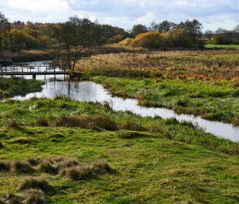 Skjern River, Denmark's largest river, known for rich biodiversity, scenic beauty, and excellent opportunities for fishing.