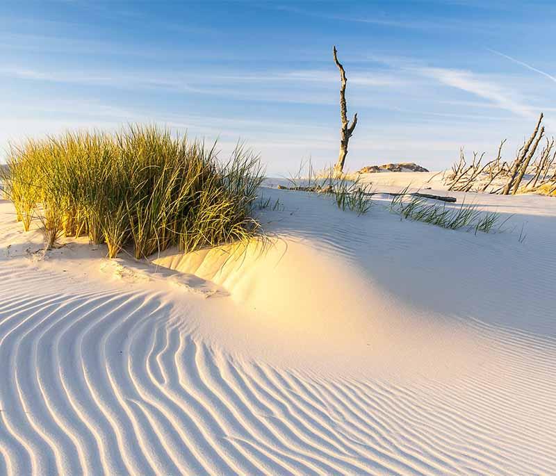 Slowinski National Park and Sand Dunes - Park with shifting sand dunes and unique coastal ecosystems.