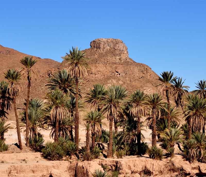 Smara - Saharan Oasis: A historic town in the Western Sahara, known for its oasis and desert landscapes.