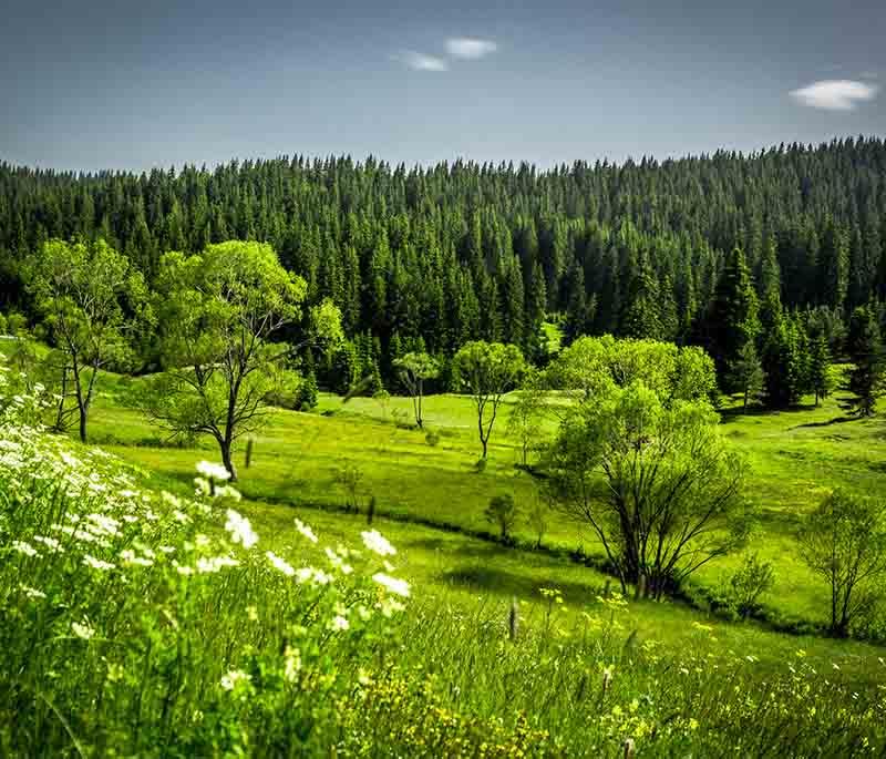 Smolyan, the gateway to the Rhodope Mountains, offering stunning natural scenery and outdoor activities.