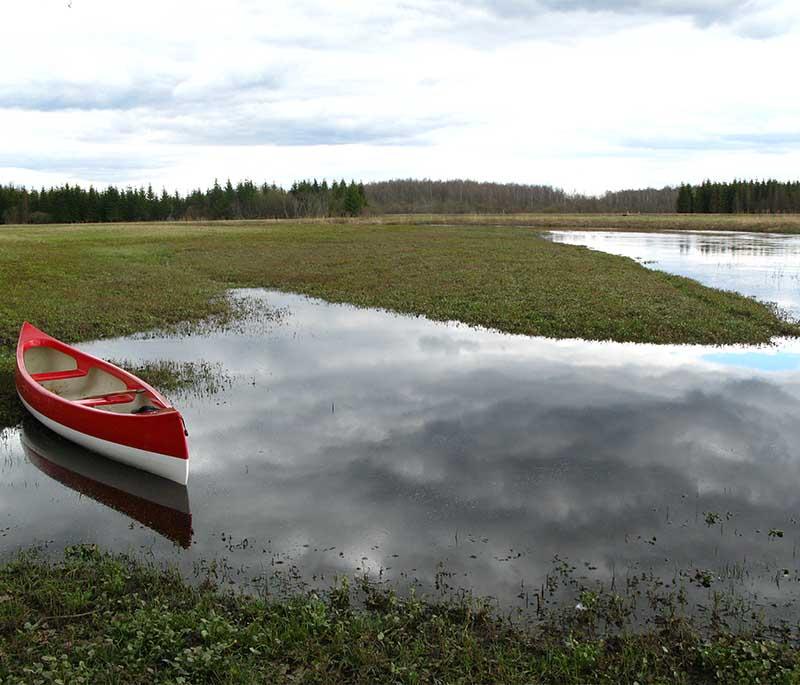 Soomaa National Park, known for its unique fifth season floods, extensive wetlands, and diverse wildlife.