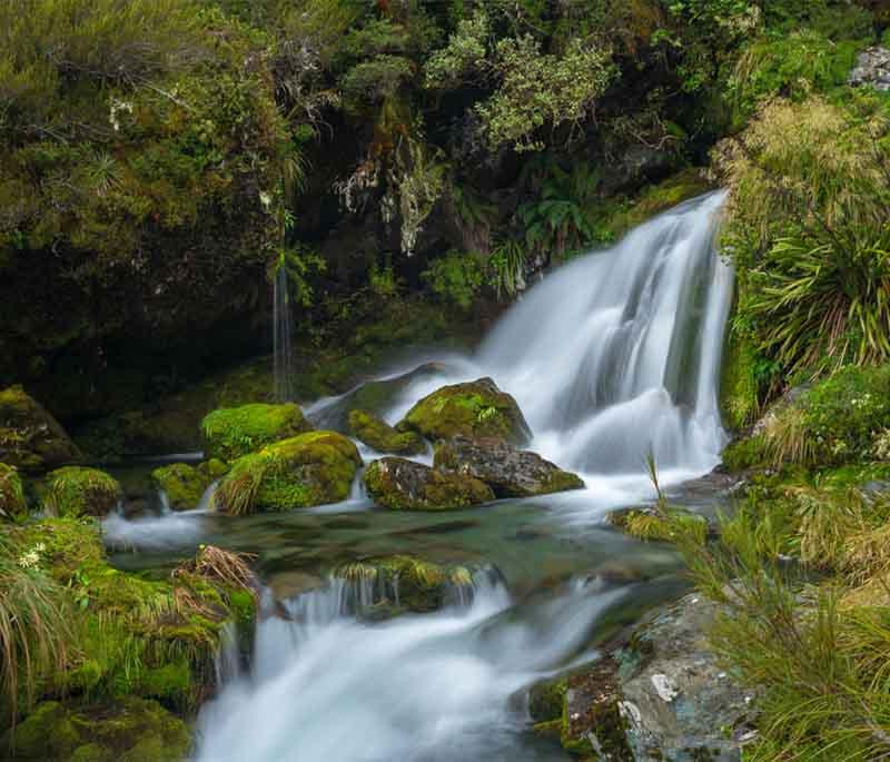 Stirling Falls, Fiordland National Park: Magnificent waterfall in Milford Sound, dramatic plunge into the fjord.