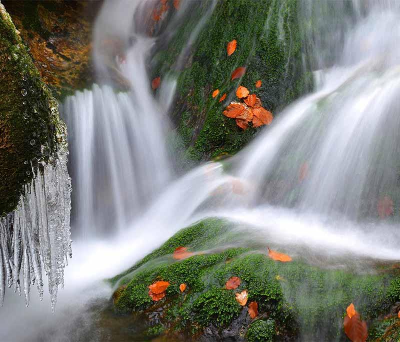 Sumava National Park, featuring dense forests, clear lakes, and streams, offering excellent hiking and wildlife watching.