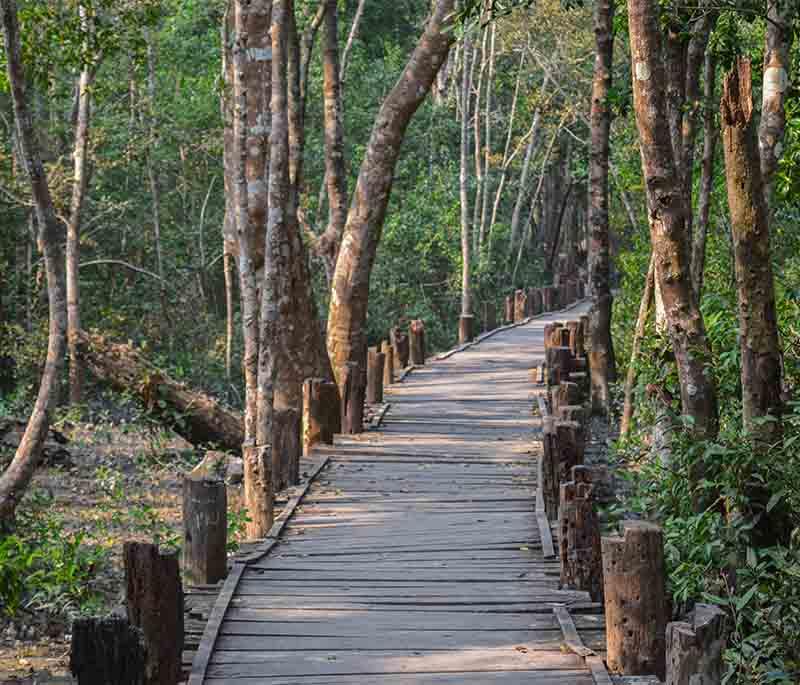 Sundarban Gateway, Khulna, presenting the entry point to the Sundarbans Mangrove Forest, a UNESCO World Heritage site.