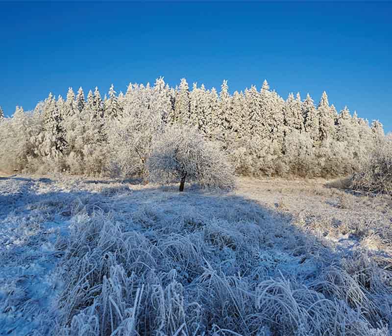 Suur Munamagi, the highest peak in Estonia, offering panoramic views from its observation tower in the Haanja Nature Park.