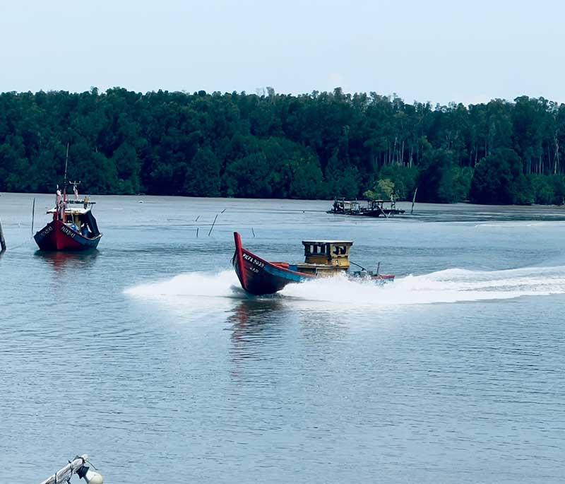 Taiping Lake Gardens in Perak features one of Malaysia's oldest and most beautiful gardens, with serene lakes.