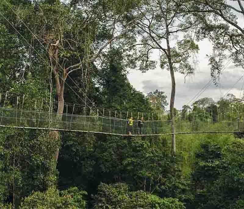 Taman Negara Natl Park, Pahang: Explore one of the world's oldest rainforests, with thrilling eco-adventures 