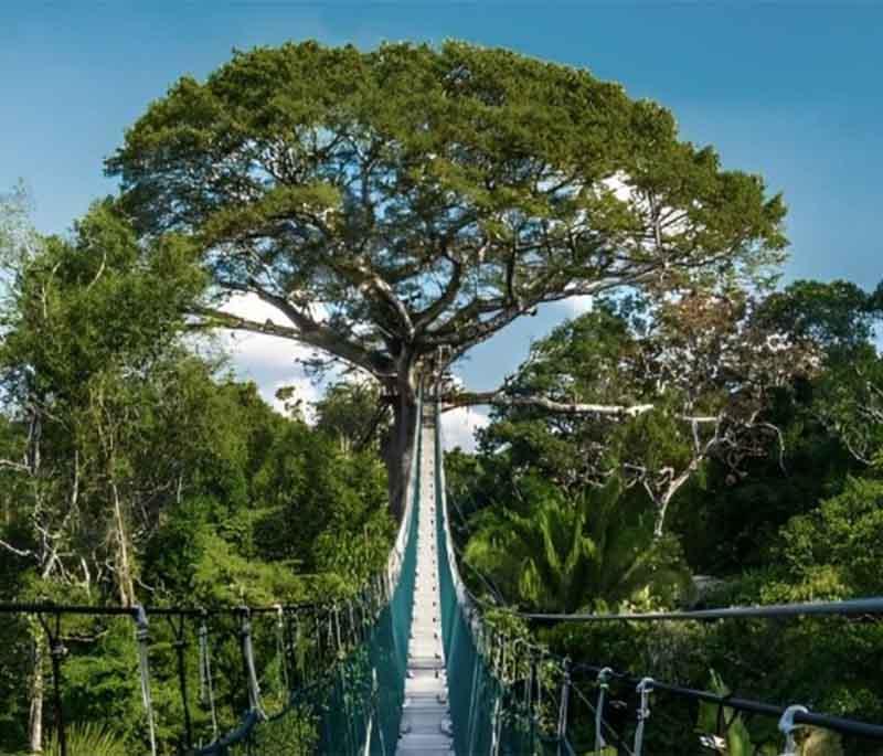 Tambopata National Reserve - A protected area in the Amazon basin, rich in biodiversity and offering eco-tourism lodges.