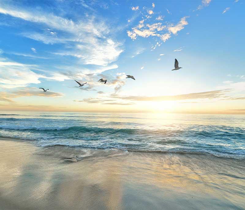 Tangalle Beach - A serene beach destination known for its soft sands, clear waters, and relaxed atmosphere.