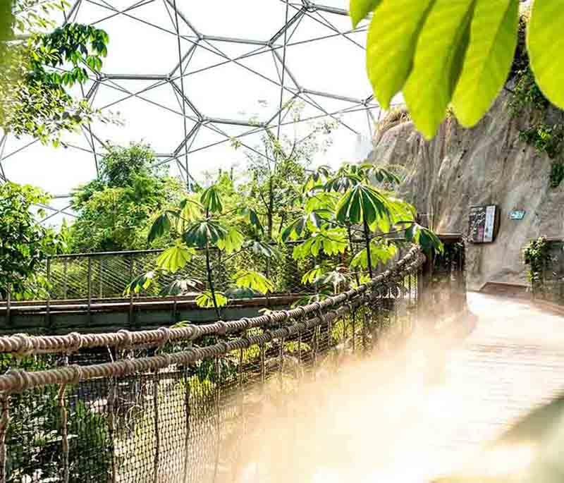 The Eden Project, Cornwall - A large botanical garden featuring biomes housing diverse plant species from around the world.