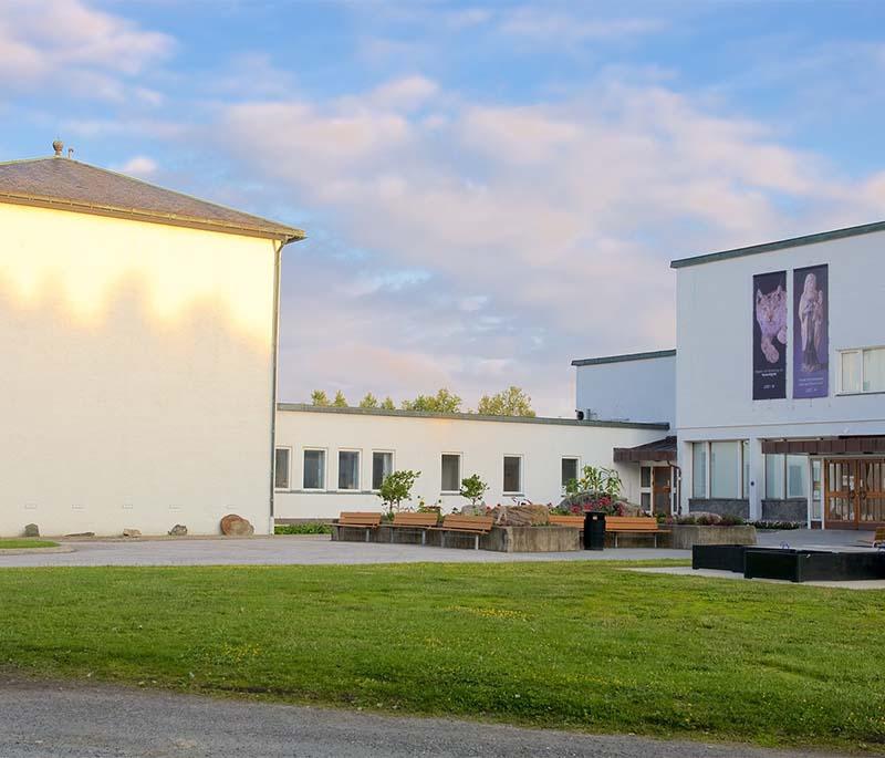 The Tromsø Museum - Features exhibits on the region's cultural, natural history, and Arctic research.