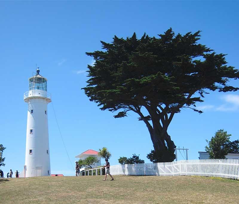 Tiritiri Matangi Island, Auckland - A wildlife sanctuary offering guided walks, birdwatching, and conservation efforts.