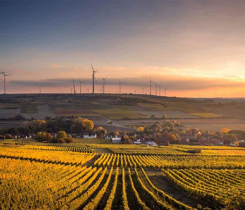 Tokaj - Tokaj Wine Region, a UNESCO World Heritage site known for its world-famous Tokaji wine and beautiful vineyards.