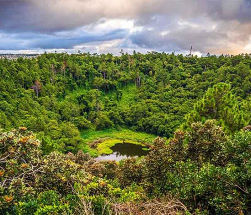 Trou aux Cerfs - A dormant volcanic crater in Curepipe, offering panoramic views of the island and lush surroundings.