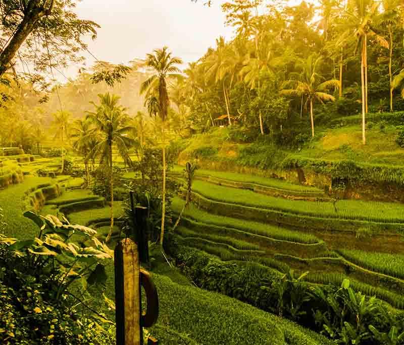 Ubud, Bali, a cultural hub known for its arts and crafts, traditional dance performances, and lush landscapes.