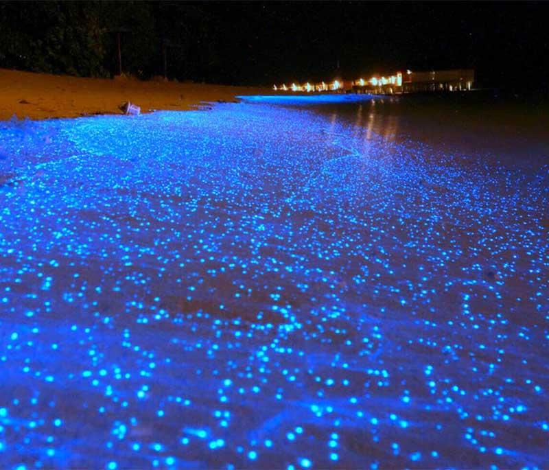 Vaadhoo Island: Witness the enchanting sea of stars phenomenon created by bioluminescent plankton.