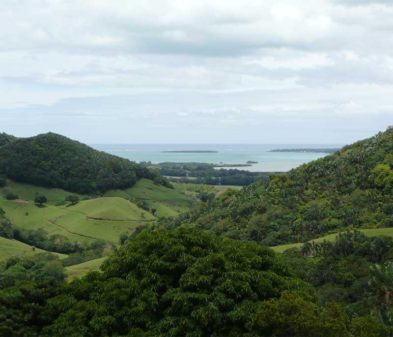 Vallée de Ferney - A wildlife reserve offering guided hikes and a chance to see indigenous species and rare flora.