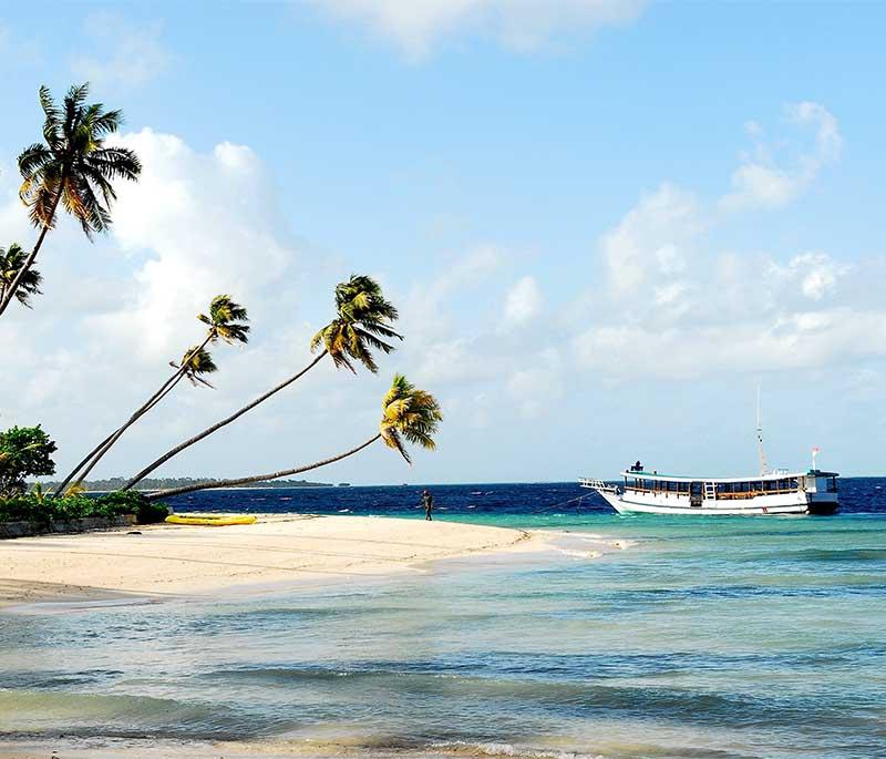 Wakatobi National Park, Southeast Sulawesi, a marine park known for its rich coral reefs and diverse marine life.