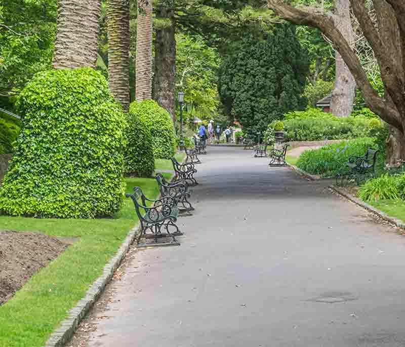 Wellington Botanic Garden, Wellington - Offers beautiful gardens, walking trails, and scenic views over the city.