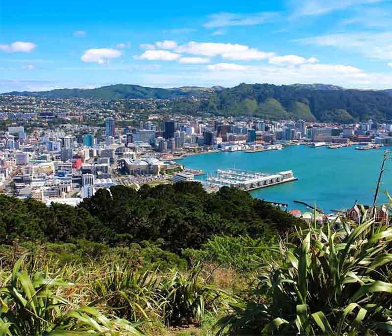 Wellington, North Island - The capital city known for its vibrant arts scene, café culture, and waterfront.