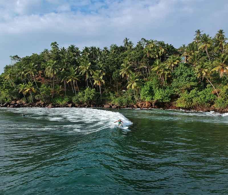 Whale Watching in Mirissa - A popular activity offering opportunities to see blue whales, dolphins, and other marine life.