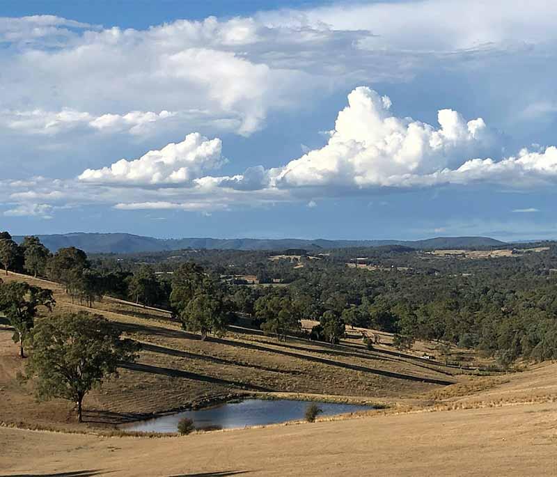 Yarra Valley in Victoria is a picturesque region known for its wineries, lush landscapes, and artisanal produce.