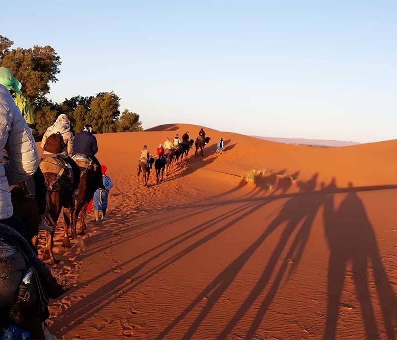 Zagora - Gateway to the Desert: A starting point for desert excursions, known for its palm groves and traditional ksars.