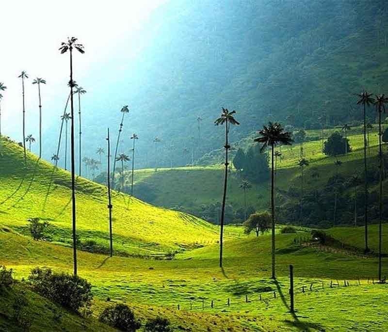 Zona Cafetera, famous for coffee plantations, scenic landscapes, and charming towns like Manizales, Pereira, and Armenia.