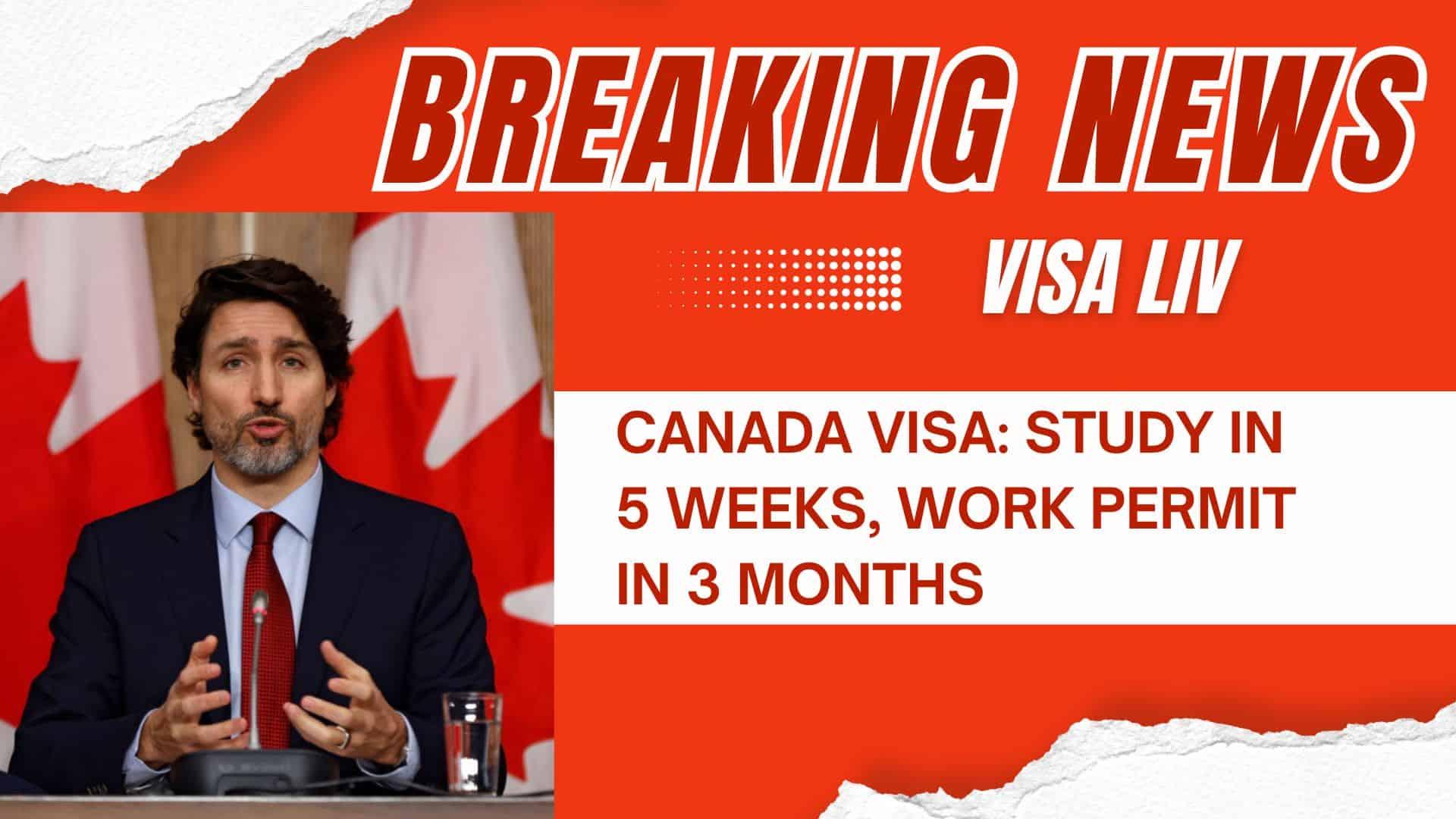 Learn how international students can get a Canada study visa in 5 weeks and a work permit in just 3 months in 2025.