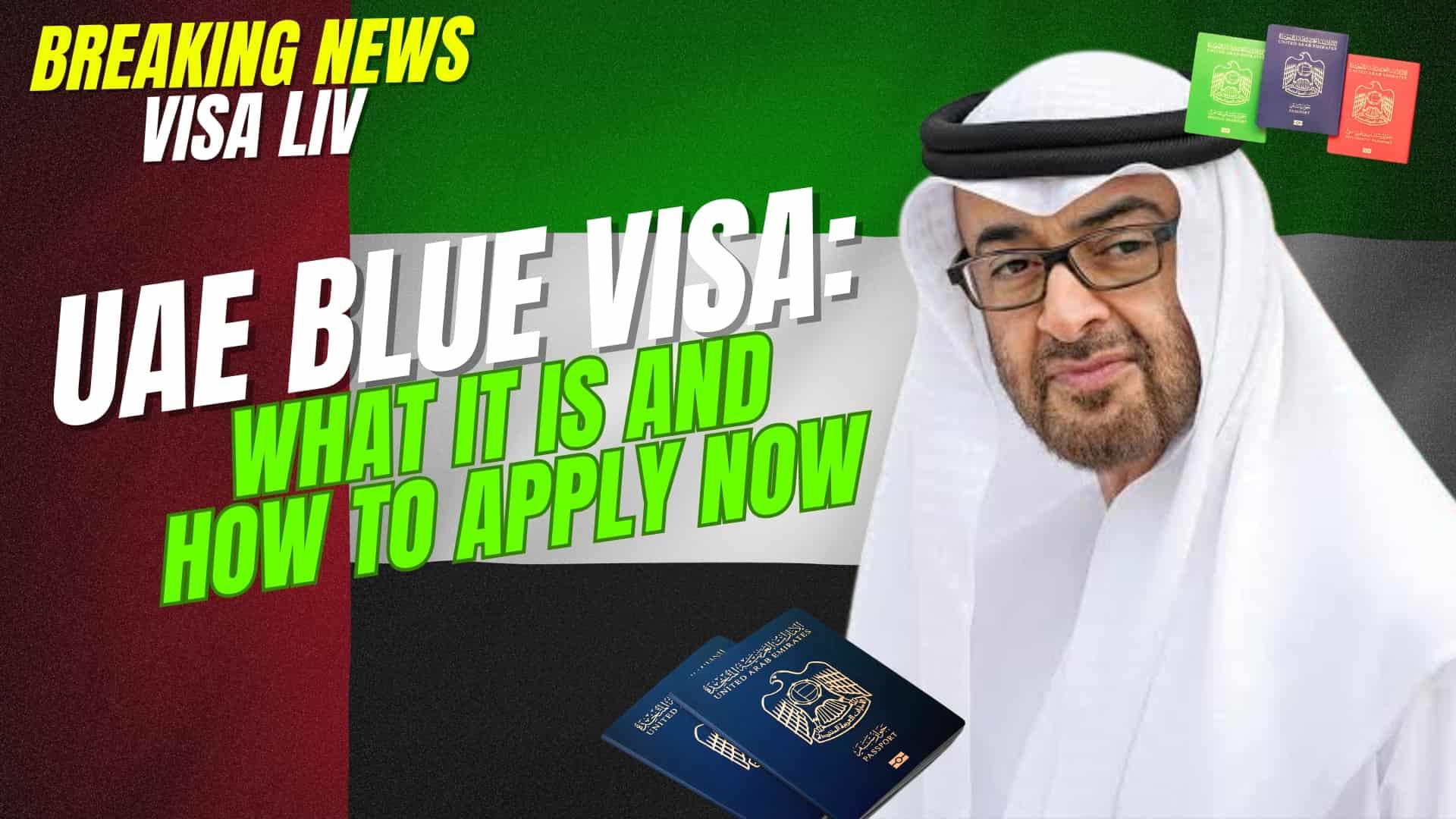 UAE Blue Visa overview and step-by-step guide on how to apply for the new UAE residency visa easily.