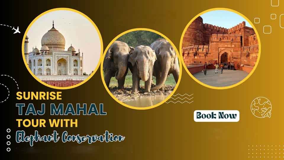 Marhaba Tour & Travels - Your Trusted Travel Companion